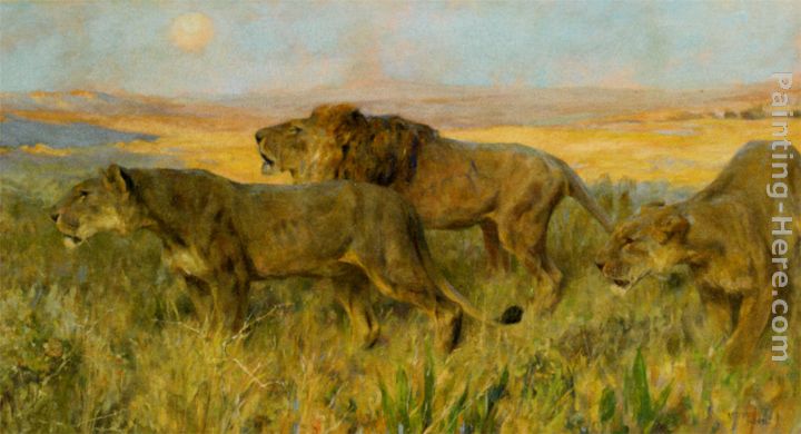 Lions sunset painting - Arthur Wardle Lions sunset art painting